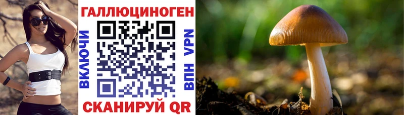Псилоцибиновые грибы GOLDEN TEACHER  kraken как зайти  Калининград 